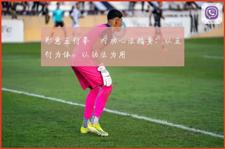 形意五行拳・内功心法精要：以五行为体，以劲法为用