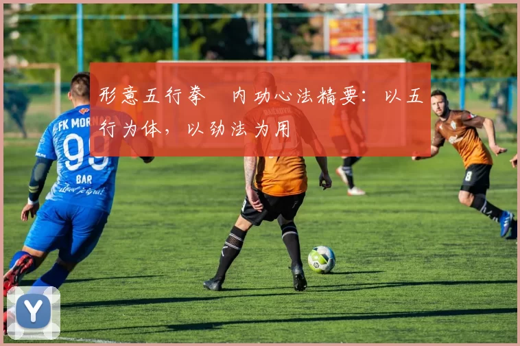 形意五行拳・内功心法精要：以五行为体，以劲法为用