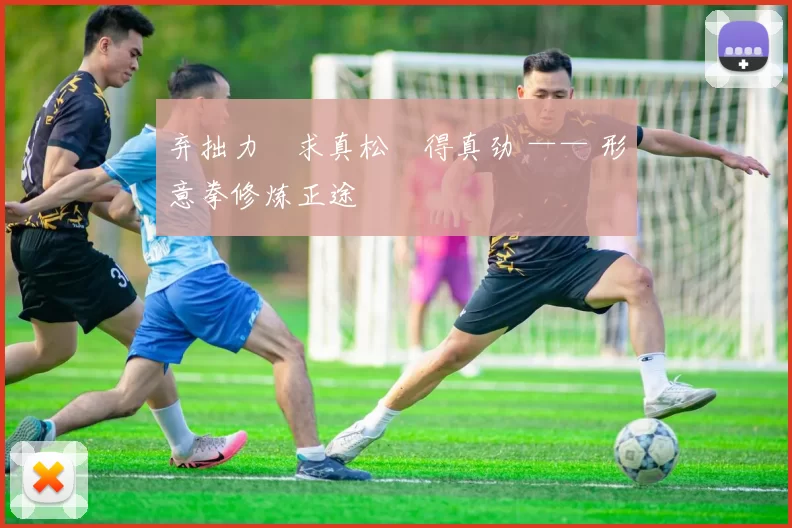 弃拙力・求真松・得真劲 —— 形意拳修炼正途