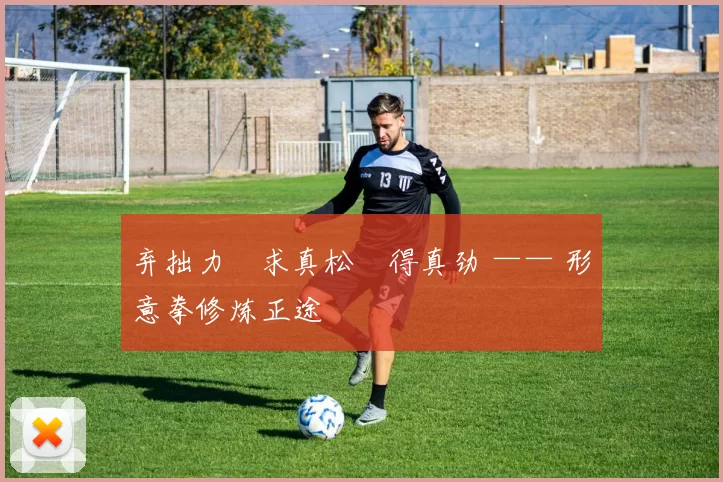 弃拙力・求真松・得真劲 —— 形意拳修炼正途