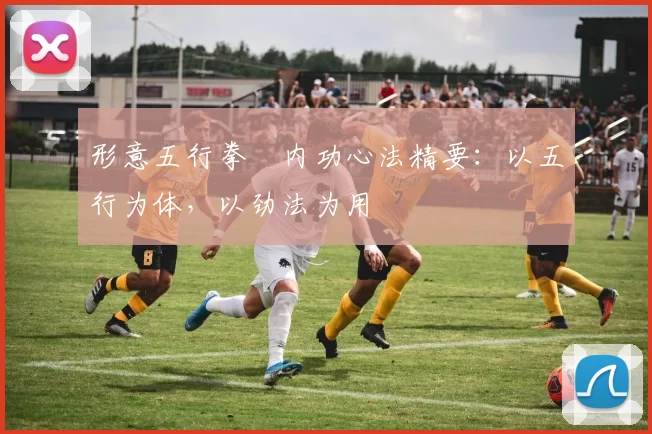 形意五行拳・内功心法精要：以五行为体，以劲法为用