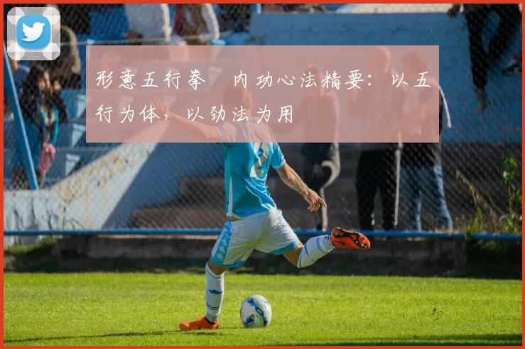 形意五行拳・内功心法精要：以五行为体，以劲法为用