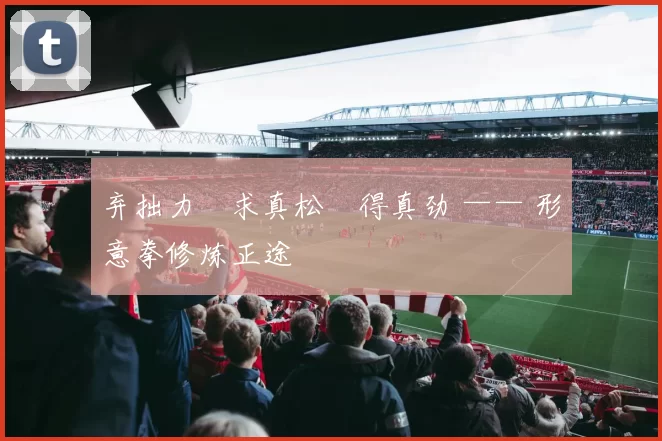 弃拙力・求真松・得真劲 —— 形意拳修炼正途