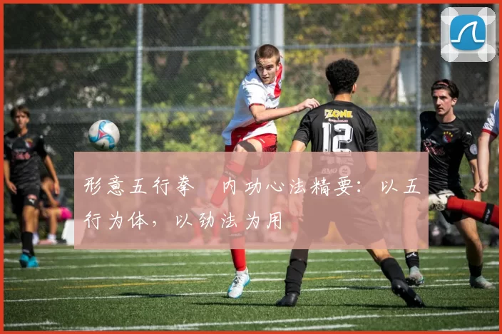 形意五行拳・内功心法精要：以五行为体，以劲法为用