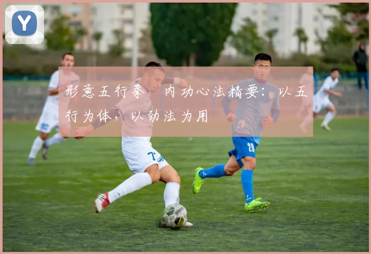 形意五行拳・内功心法精要:以五行为体,以劲法为用