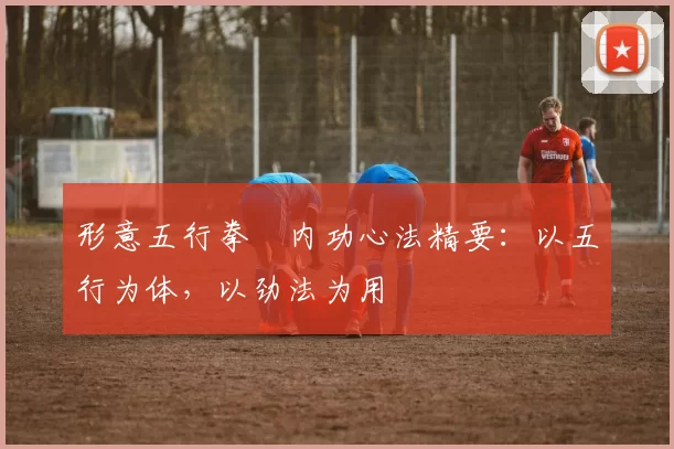 形意五行拳・内功心法精要：以五行为体，以劲法为用