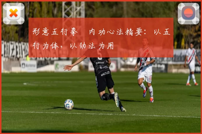 形意五行拳・内功心法精要：以五行为体，以劲法为用