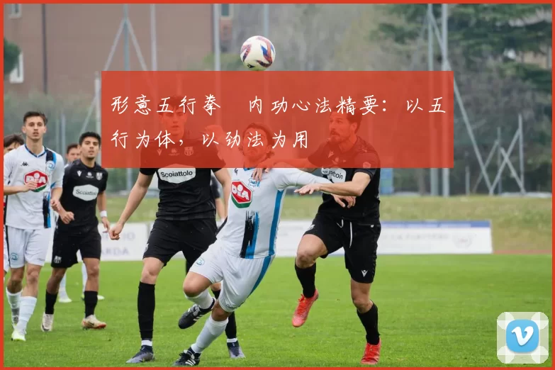 形意五行拳・内功心法精要:以五行为体,以劲法为用