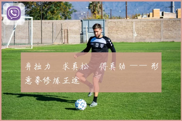 弃拙力・求真松・得真劲 —— 形意拳修炼正途