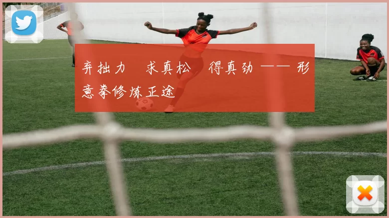 弃拙力・求真松・得真劲 —— 形意拳修炼正途