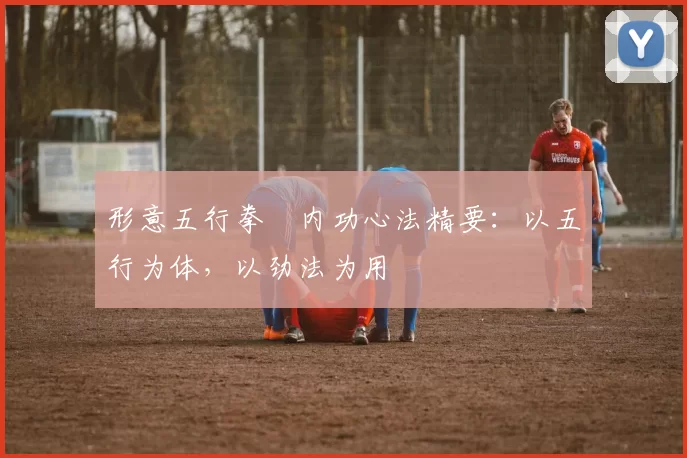 形意五行拳・内功心法精要：以五行为体，以劲法为用