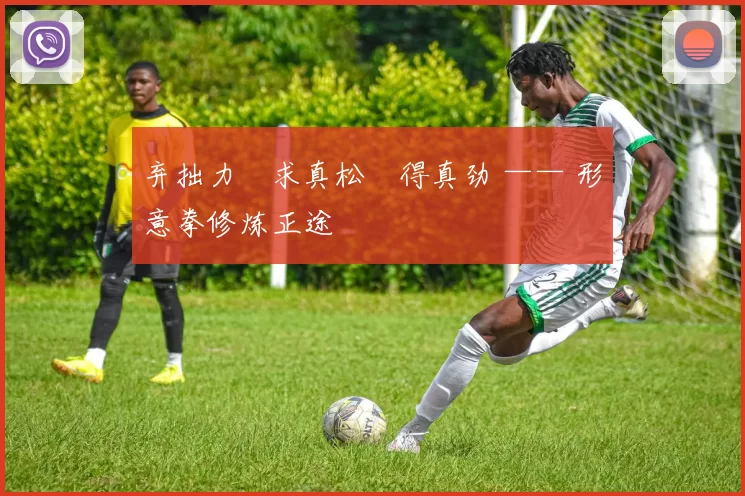 弃拙力・求真松・得真劲 —— 形意拳修炼正途