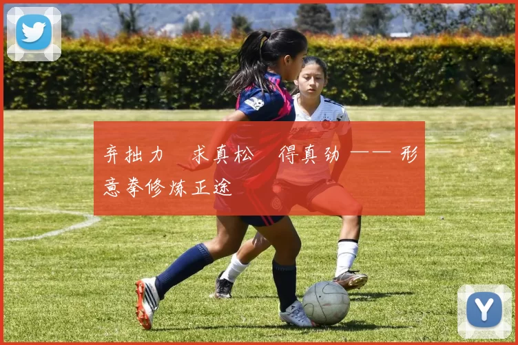 弃拙力・求真松・得真劲 —— 形意拳修炼正途