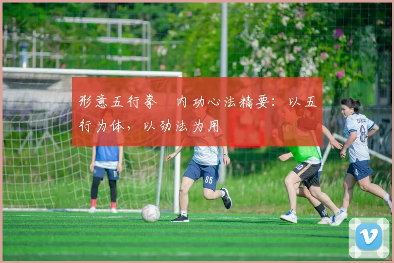 形意五行拳・内功心法精要：以五行为体，以劲法为用