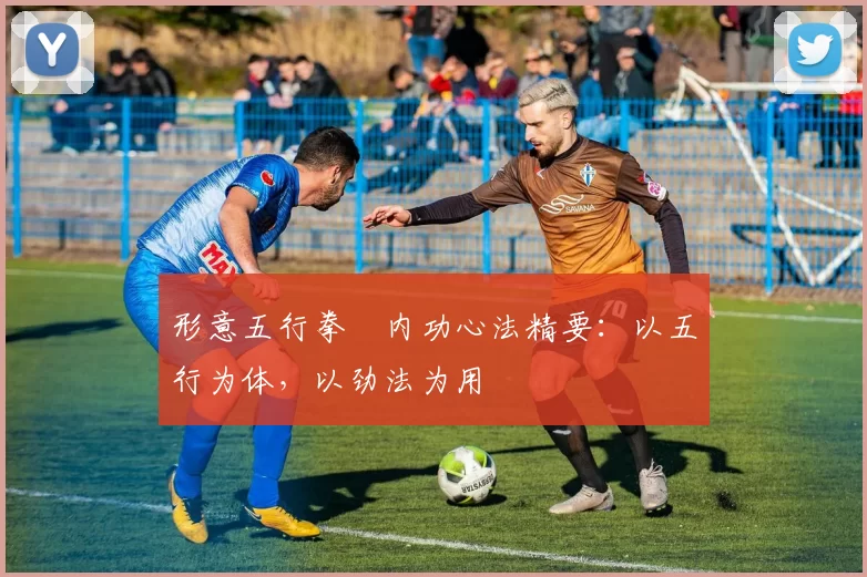 形意五行拳・内功心法精要：以五行为体，以劲法为用