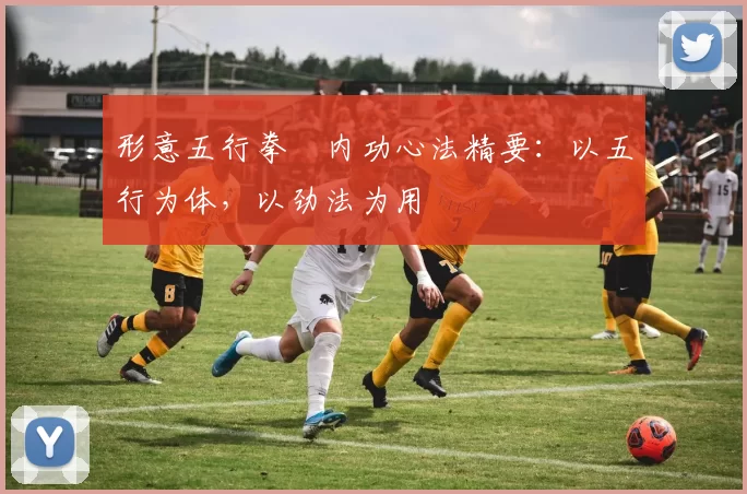 形意五行拳・内功心法精要:以五行为体,以劲法为用