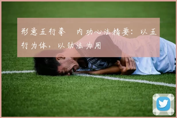 形意五行拳・内功心法精要：以五行为体，以劲法为用