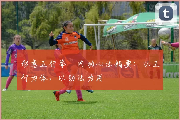 形意五行拳・内功心法精要：以五行为体，以劲法为用