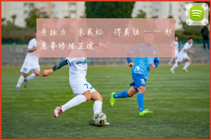 弃拙力・求真松・得真劲 —— 形意拳修炼正途