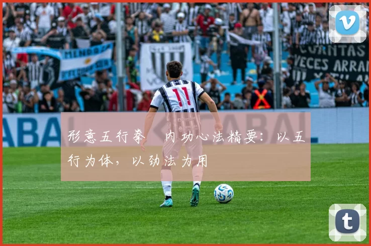 形意五行拳・内功心法精要：以五行为体，以劲法为用