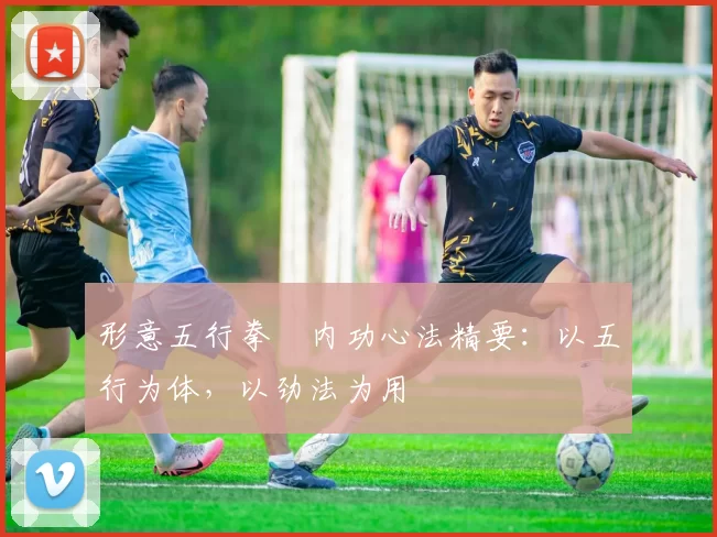 形意五行拳・内功心法精要：以五行为体，以劲法为用