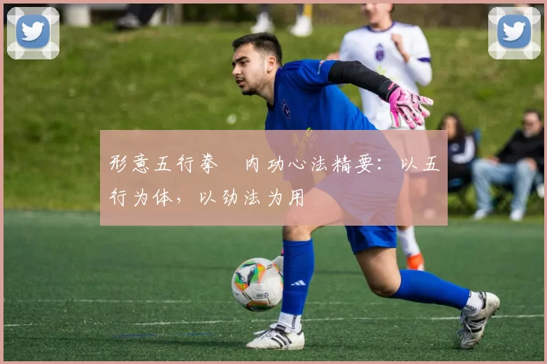 形意五行拳・内功心法精要：以五行为体，以劲法为用