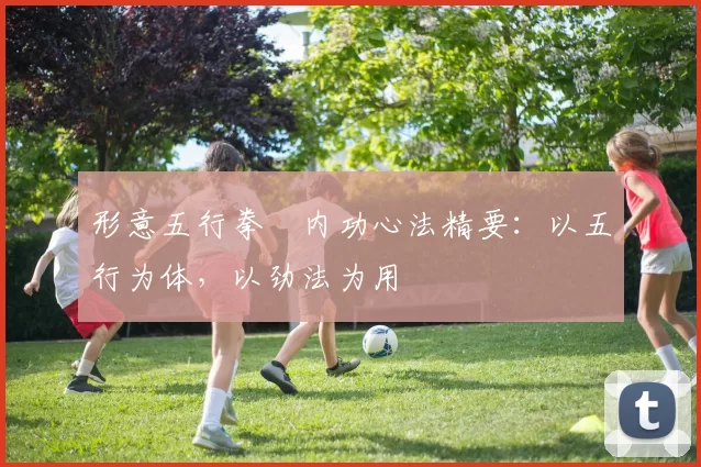 形意五行拳・内功心法精要：以五行为体，以劲法为用