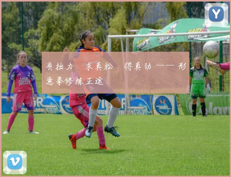 弃拙力・求真松・得真劲 —— 形意拳修炼正途