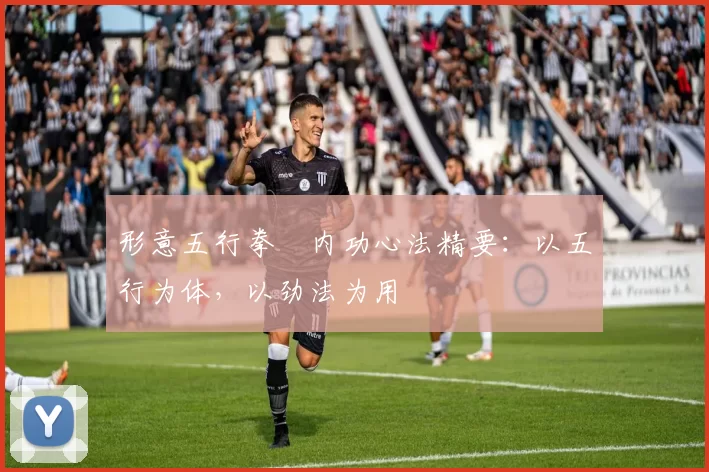 形意五行拳・内功心法精要：以五行为体，以劲法为用