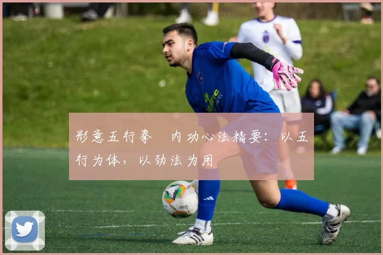 形意五行拳・内功心法精要：以五行为体，以劲法为用