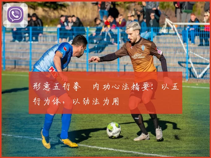 形意五行拳・内功心法精要:以五行为体,以劲法为用