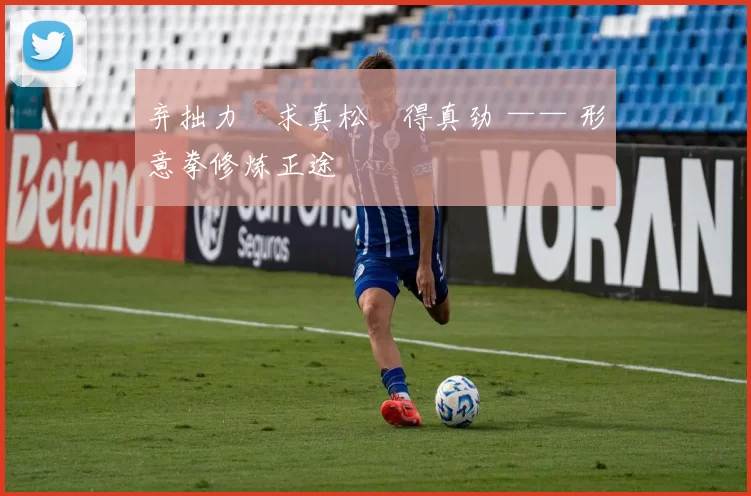 弃拙力・求真松・得真劲 —— 形意拳修炼正途