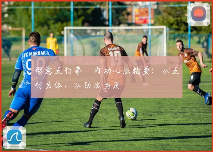 形意五行拳・内功心法精要：以五行为体，以劲法为用