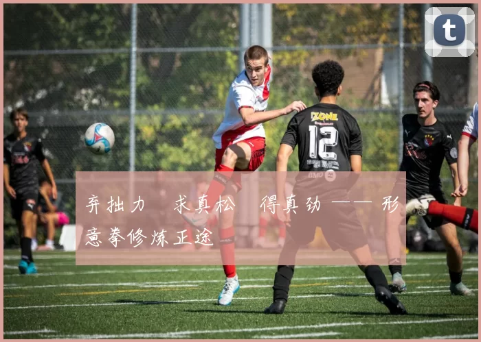 弃拙力・求真松・得真劲 —— 形意拳修炼正途