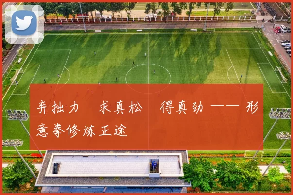 弃拙力・求真松・得真劲 —— 形意拳修炼正途