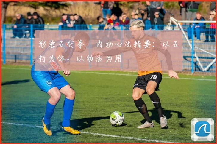 形意五行拳・内功心法精要：以五行为体，以劲法为用