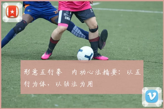 形意五行拳・内功心法精要：以五行为体，以劲法为用