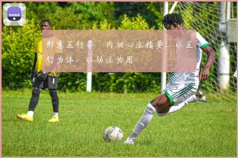 形意五行拳・内功心法精要:以五行为体,以劲法为用
