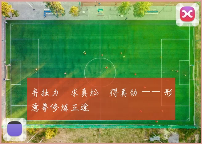 弃拙力・求真松・得真劲 —— 形意拳修炼正途