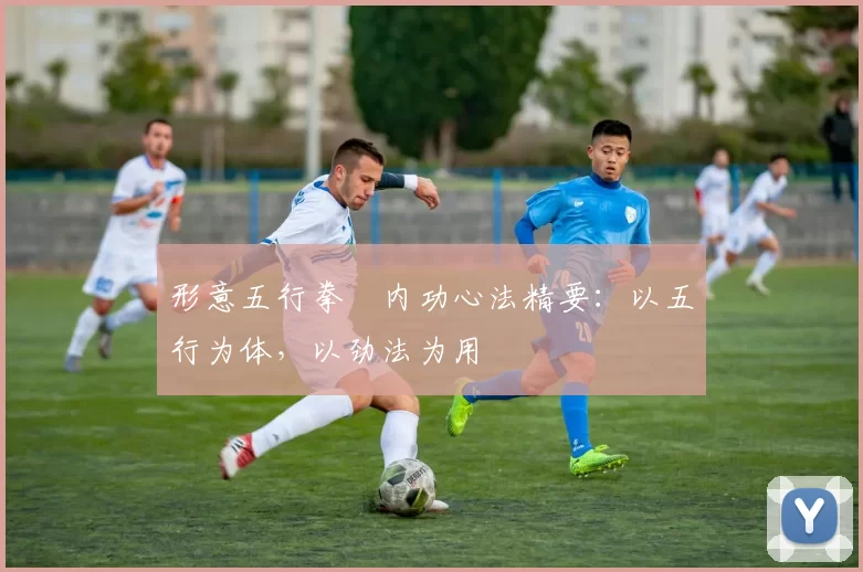 形意五行拳・内功心法精要:以五行为体,以劲法为用