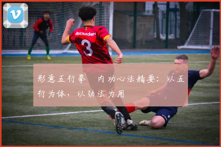 形意五行拳・内功心法精要：以五行为体，以劲法为用