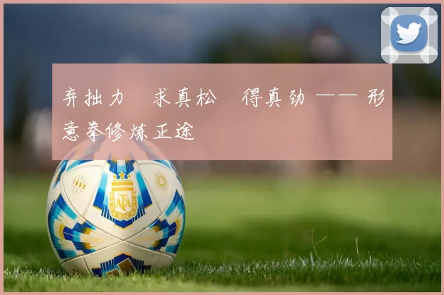 弃拙力・求真松・得真劲 —— 形意拳修炼正途