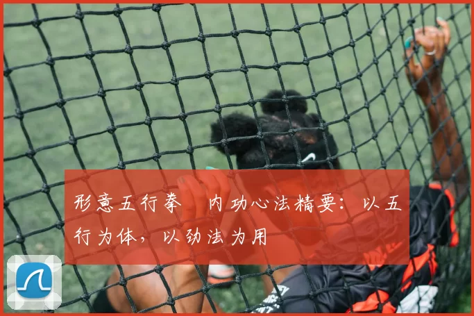 形意五行拳・内功心法精要：以五行为体，以劲法为用