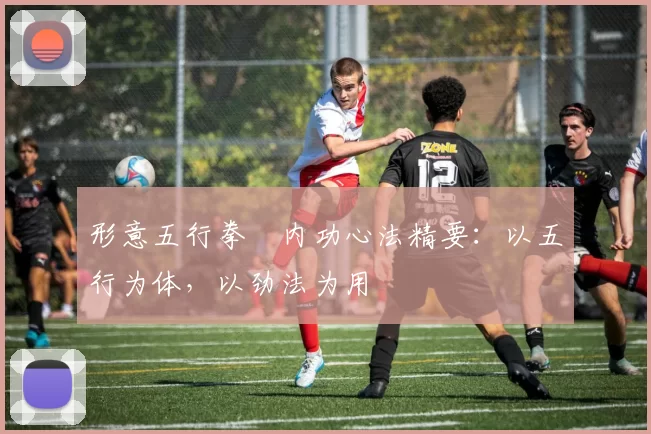 形意五行拳・内功心法精要：以五行为体，以劲法为用