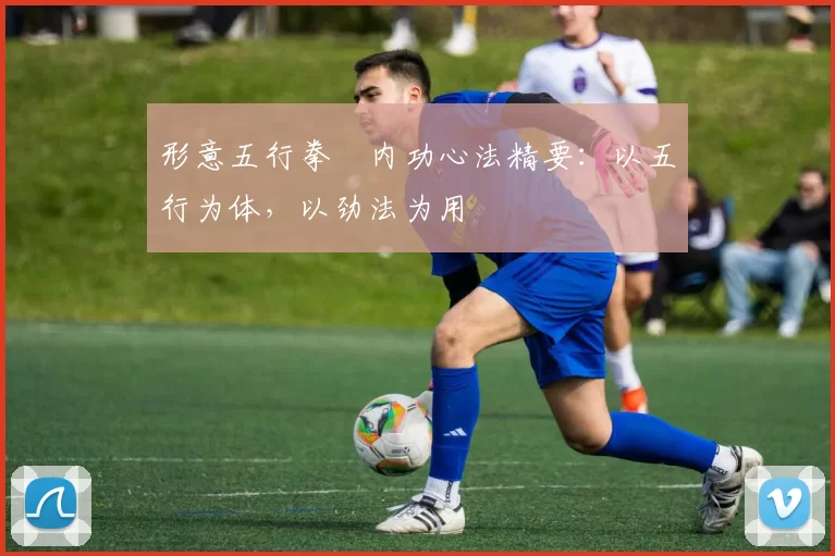 形意五行拳・内功心法精要：以五行为体，以劲法为用