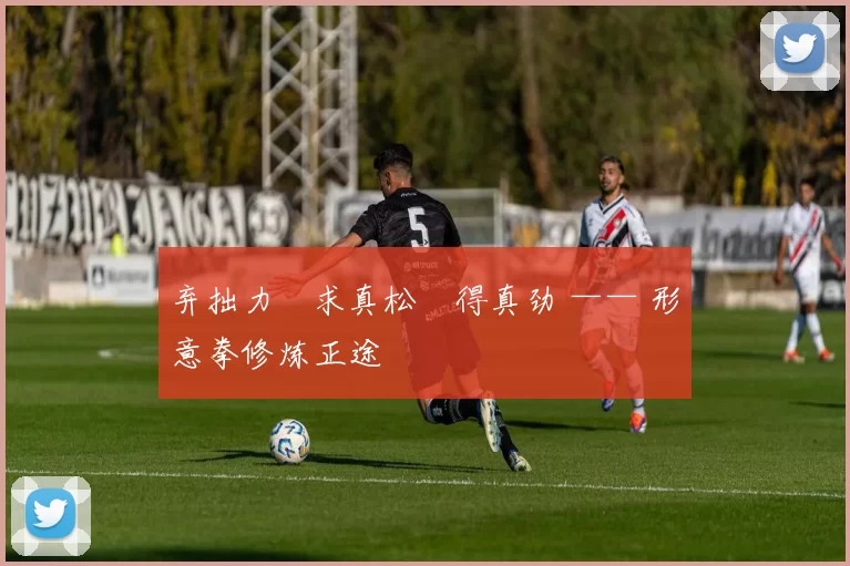 弃拙力・求真松・得真劲 —— 形意拳修炼正途