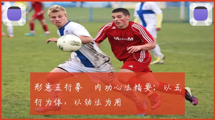 形意五行拳・内功心法精要：以五行为体，以劲法为用