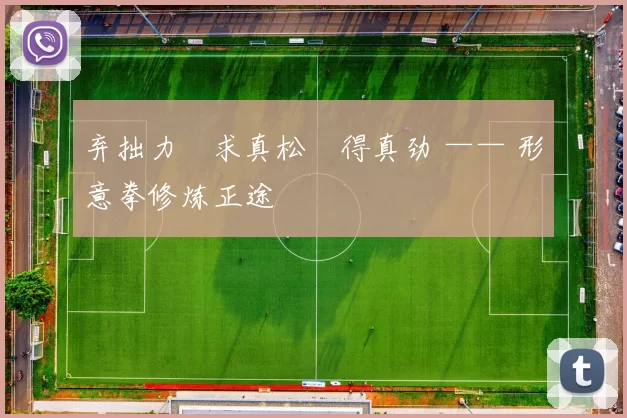 弃拙力・求真松・得真劲 —— 形意拳修炼正途