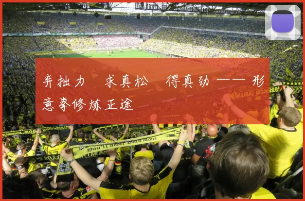 弃拙力・求真松・得真劲 —— 形意拳修炼正途