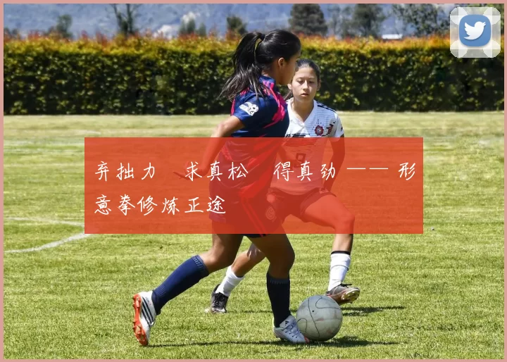 弃拙力・求真松・得真劲 —— 形意拳修炼正途